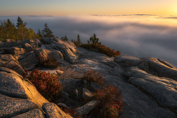 Above the Fog - Acadia National Park by Justin Leveillee