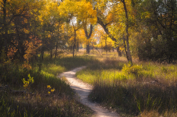 Autumn Trail - Teddy Roosevelt National Park by Justin Leveillee
