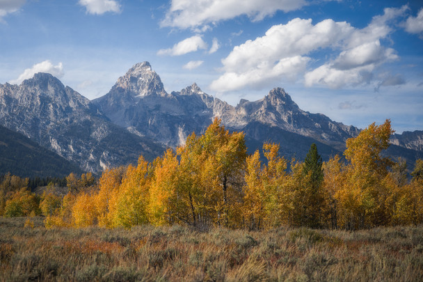 The Tetons - Grand Teton National Park by Justin Leveillee