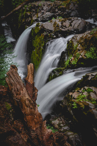 Olympic National Park by Jonathan Yogerst