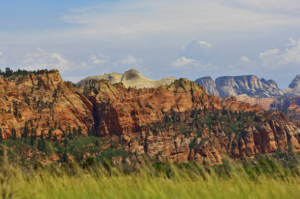 Zion National Park by Fotodynamics / Ted Carlson - TCZ9