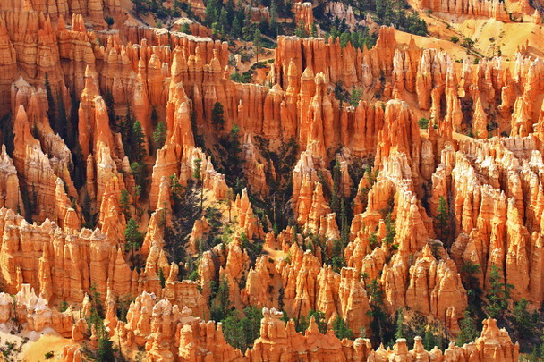 Bryce Canyon National Park by Fotodynamics / Ted Carlson - TCBC52