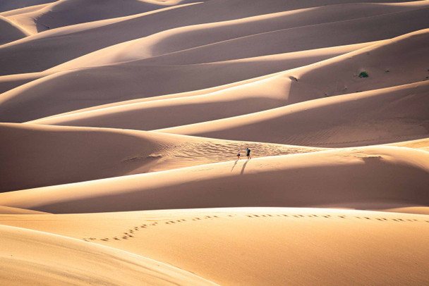 Great Sand Dunes National Park 5 by Jonathan Yogerst