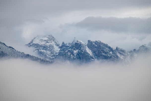 Snow day in the Tetons - Grand Teton National Park by Riley K Photo