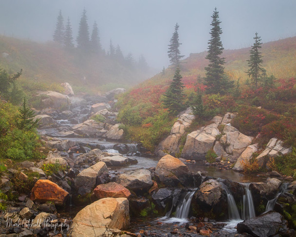 Creek From the Clouds, Mt Rainier National Park by Mark Gotchall