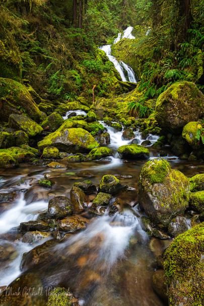 Bunch Falls, Olympic National Park by Mark Gotchall