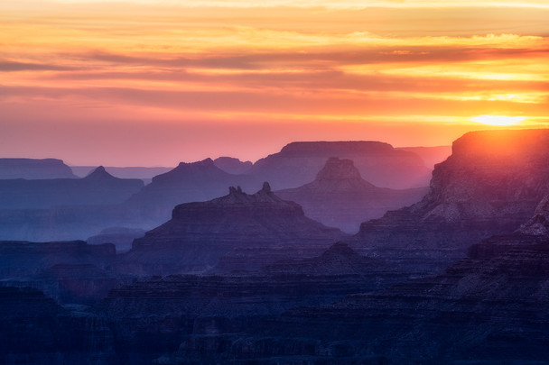 TreeRose Photography Silhouettes Through the Haze Grand Canyon