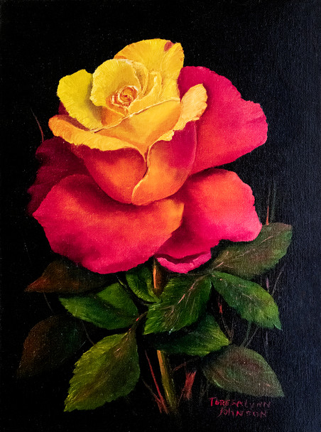 The Rose 3 - Portrait of a pink and yellow Rose - by Teresa Lynn Johnson