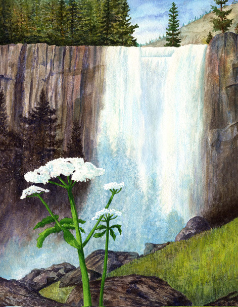 Yosemite Vernal Falls (Original Painting) by Douglas Castleman