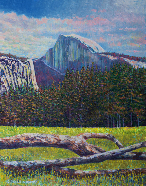 Yosemite Halfdome From Valley Floor (Original Oil Painting) by Douglas Castleman