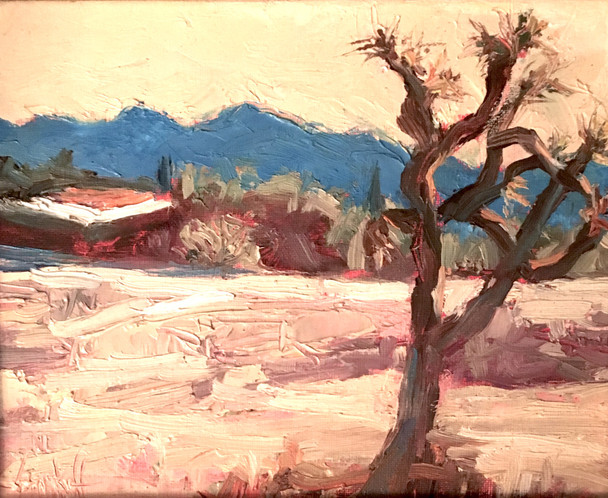 Joshua Tree Peekaboo By Kathleen Strukoff