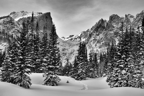 A Winter Walk in  Rocky Mountain National Park by Nicholas Jensen Photography