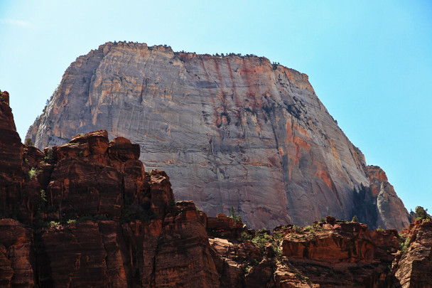 Zion National Park by Fotodynamics / Ted Carlson - TCZ43