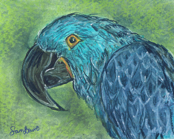 Blue Macaw (Original Painting) by Samara Doumnande