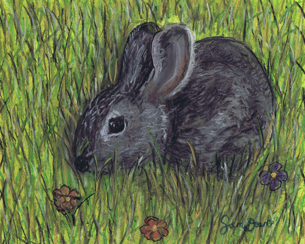 Rabbit in Grass by Samara Doumnande