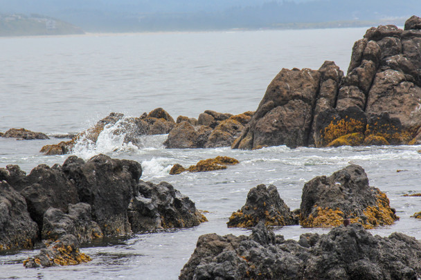 Oregon Coast 1 by Craig Fentiman