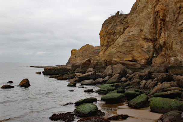 Rocky cliffs on the Oregon Coast by Craig Fentiman