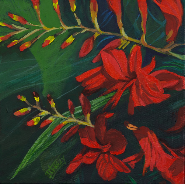 A Day In The Garden 2: Montbretia Song (Original Acrylic Painting) by Julia O'Reilly
