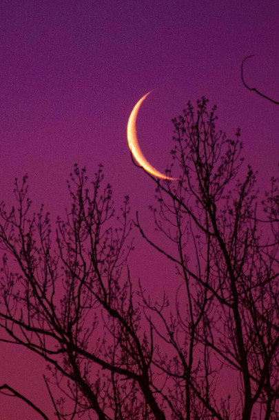 Crescent Moon at Sunrise by Josh Blackman