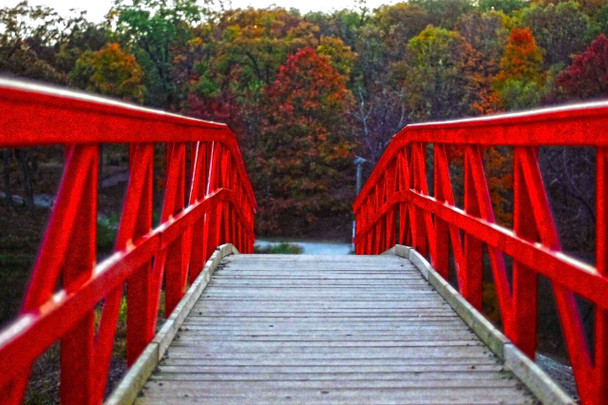 Across the Red Bridge by Josh Blackman