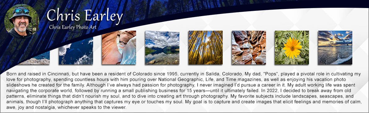 Featured artist for photography and prints