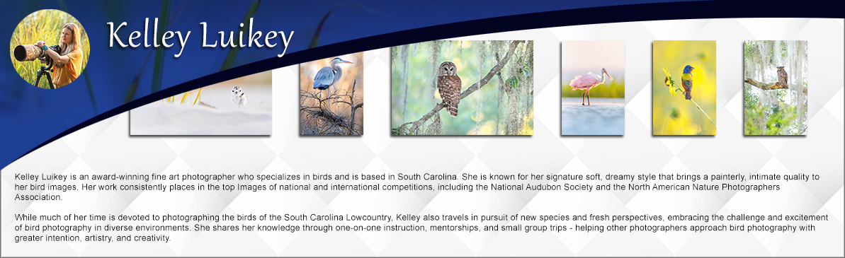 Featured artist for photography and prints