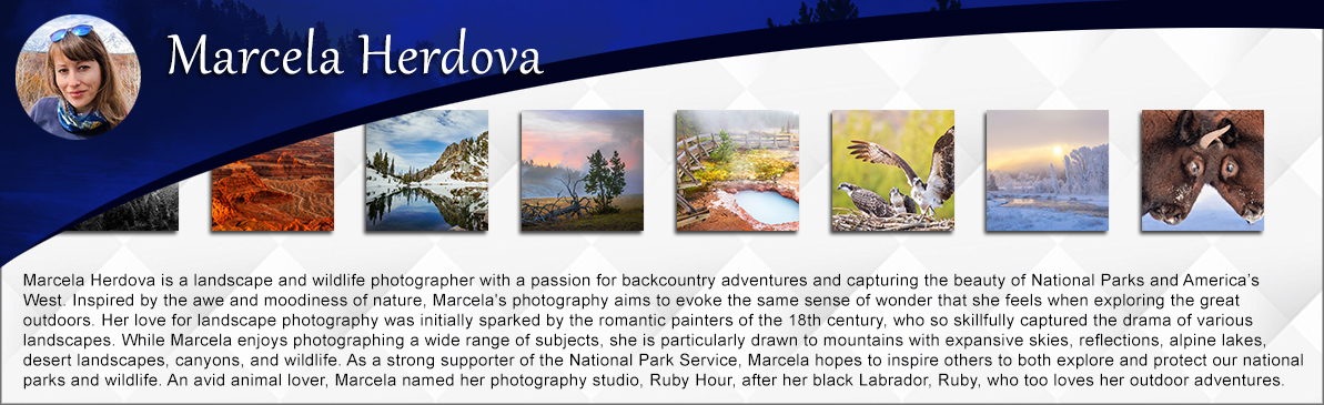 Featured artist for photography and prints