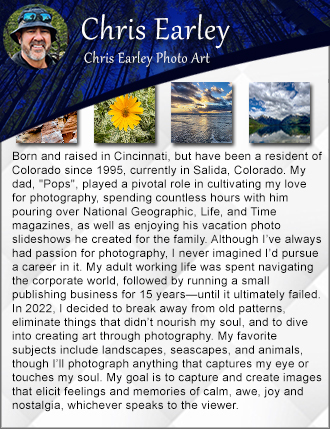 Featured artist for photography and prints