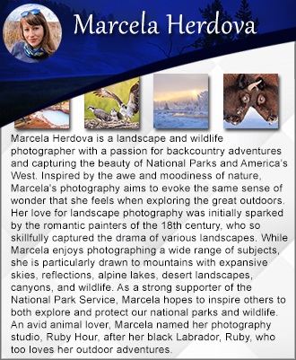 Featured artist for photography and prints