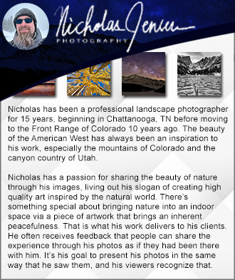 Featured artist for photography and prints