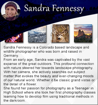 Featured artist for photography and prints