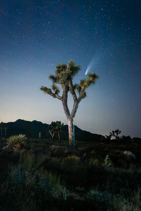 Catching Neowise by Aaron Rashid - Cocoweb - Quality LED Lighting ...