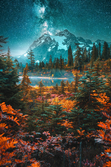 temp_pimage_65ab328c9a05f_1705