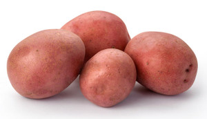 Red Potato  10 lbs Red Potato  10 lbs