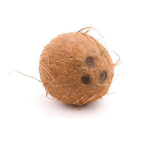 Coconut (1 ea) Coconut (1 ea)