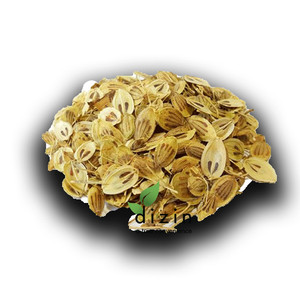Angelica - GolPar 50gr