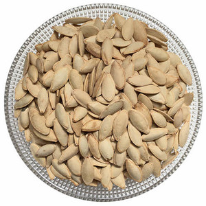 Roasted Salted Mashhadi Melon Seeds (تخمه مشهدی گوشتی) 500gr Roasted Salted Mashhadi Melon Seeds (تخمه مشهدی گوشتی) 500gr