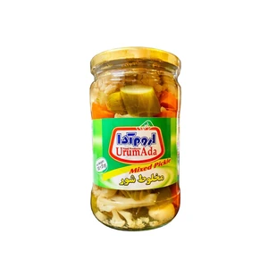 Mixed Pickled in Brine 700g - Urum Ada