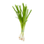 Green Onion (1 bunch)