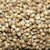 Roasted Salted Hemp 100gr Roasted Salted Hemp 100gr