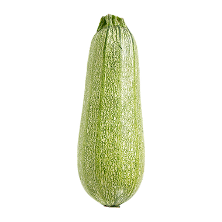 Grey Zucchini 1ea