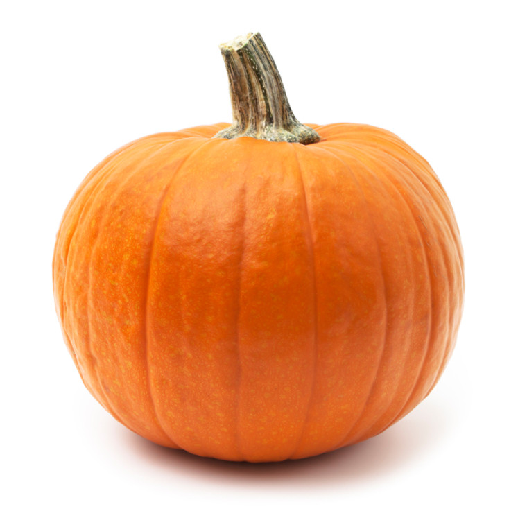 Pumpkin, Large (1 ea)