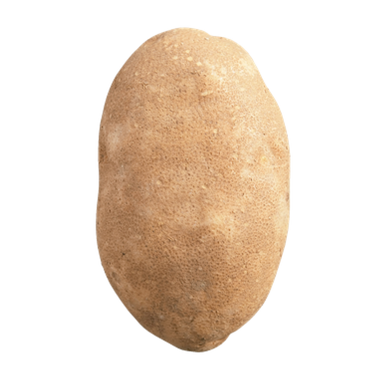 Potato Cello Russet (1 ea)