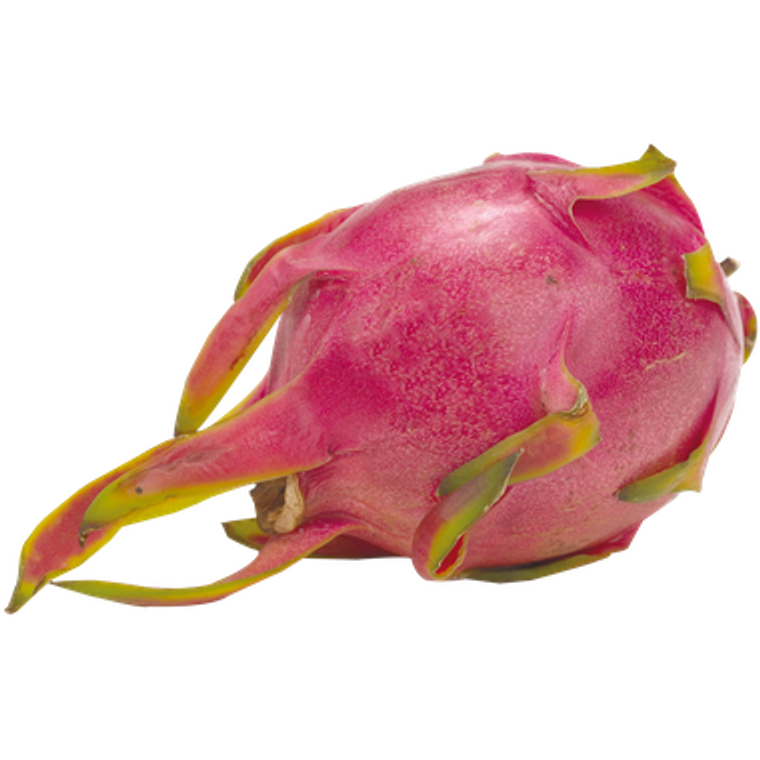 Dragon Fruit (1 ea)