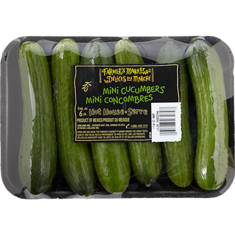 Mini Cucumbers (6 pack)