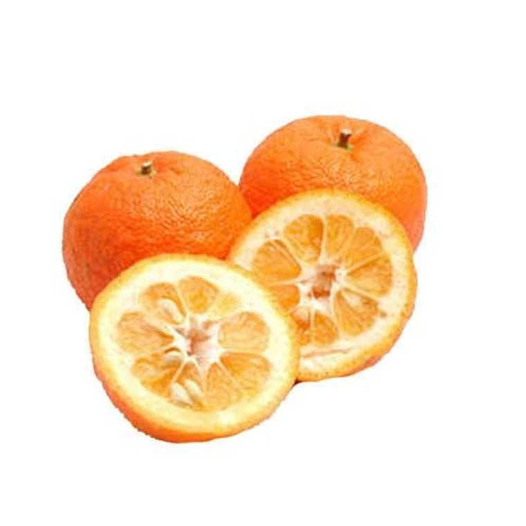 Seville Orange ( نارنج ) 4Pcs