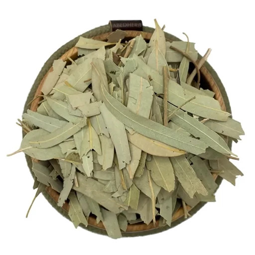 Dried Eucalyptus 50gr - Pegah