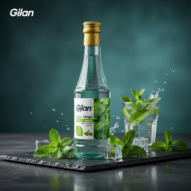Distilled Mint Water 300ml - Gilan