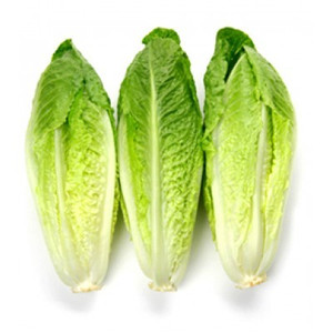 Lettuce Romaine Heart 3PK