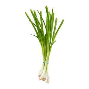 Green Onion (1 bunch)
